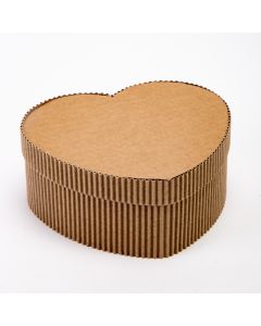 Caja Corrugado #1