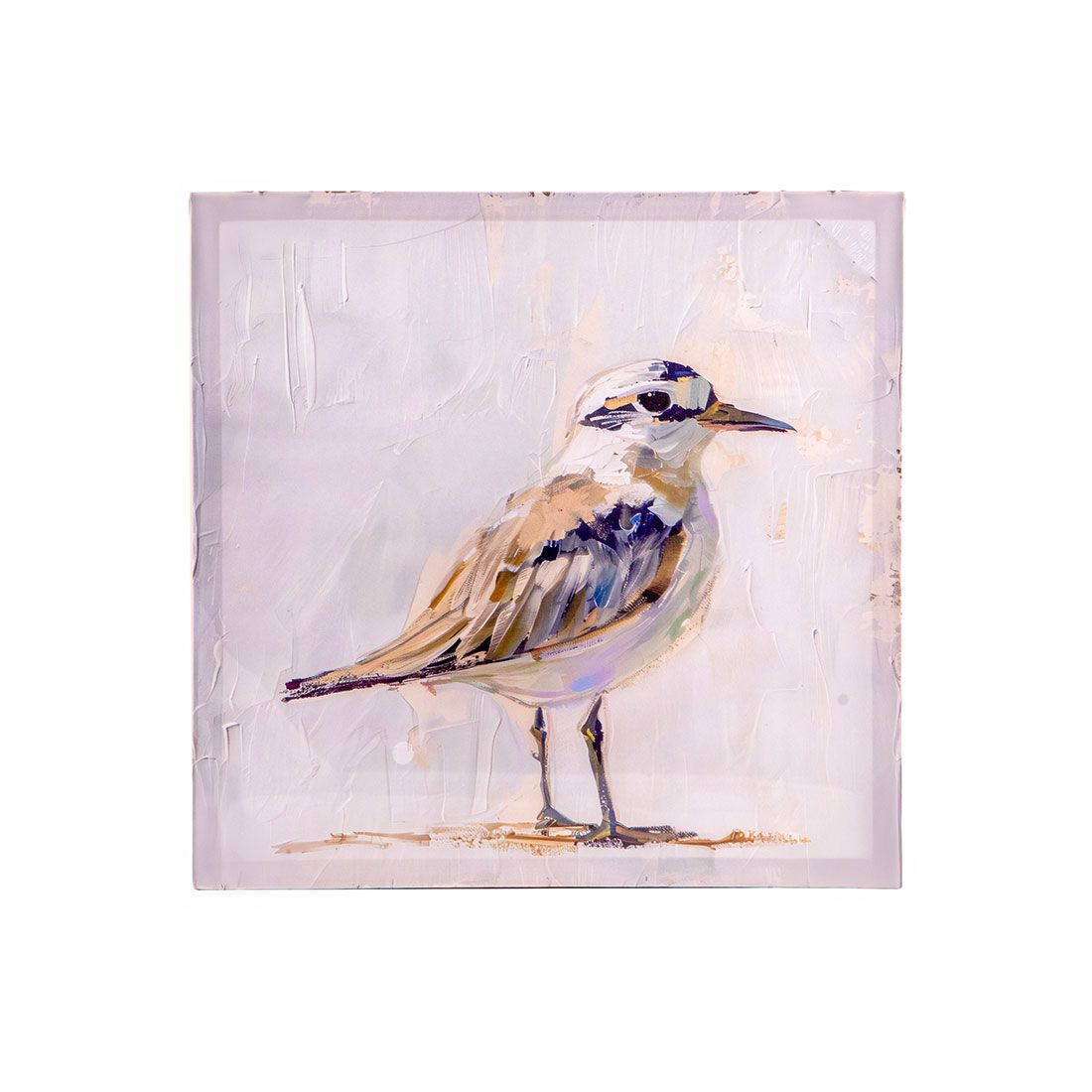 Cuadro Decorativo Pájaro Lienzo Madera 40x40x2.5cm