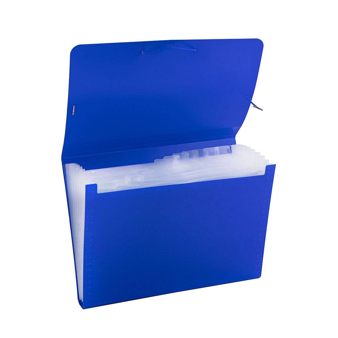 Carpeta A4 12 Divisiones Plástica