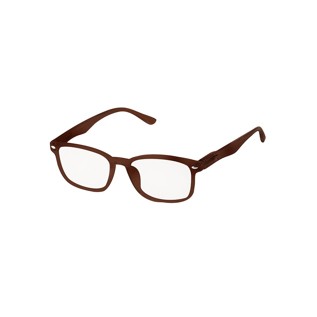 Lentes Lectura Plástico
