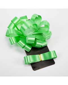 Moño Plástico Liso Cinta 5pulg 2m Verde