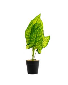 Planta Artificial Corazón De Jesús Con Maceta