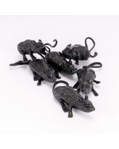 Ratón Plástico Liso 6pzas 8cm Negro