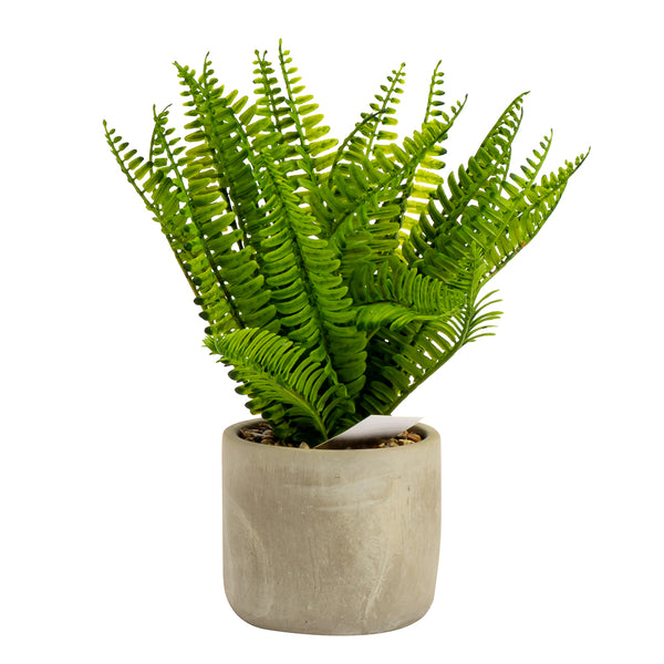 Planta Artificial Hojas Con Maceta Cemento