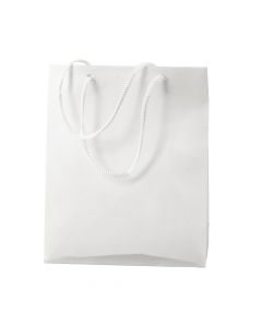 Bolsa Plástica Lisa 22x18x7.5cm Blanca