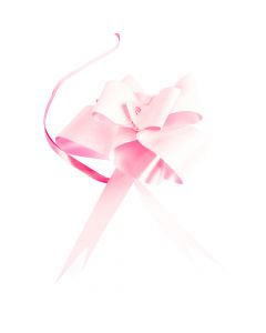 Lazo Liso Escarchado 30mm 6pzas Rosado