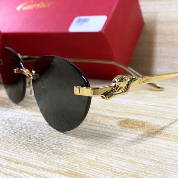 Lentes De Sol Cartier R.E Negro