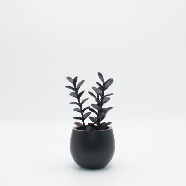 SUCULENTA. FLORERO PLASTICO