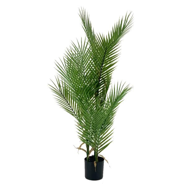 PALMERA ARECA 100CM