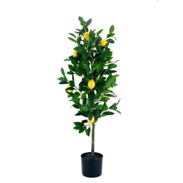 LIMONERO. MACETA PLASTICA 100CM