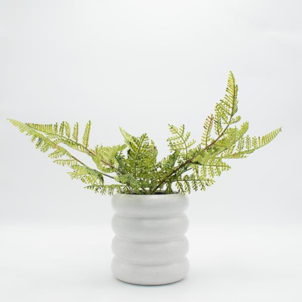 HELECHO BOSTON. FLORERO CERAMICO