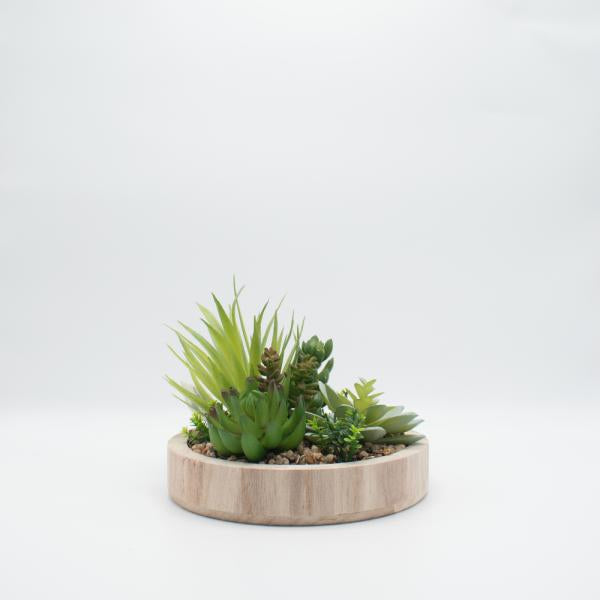 TERRARIO BASE DE MADERA