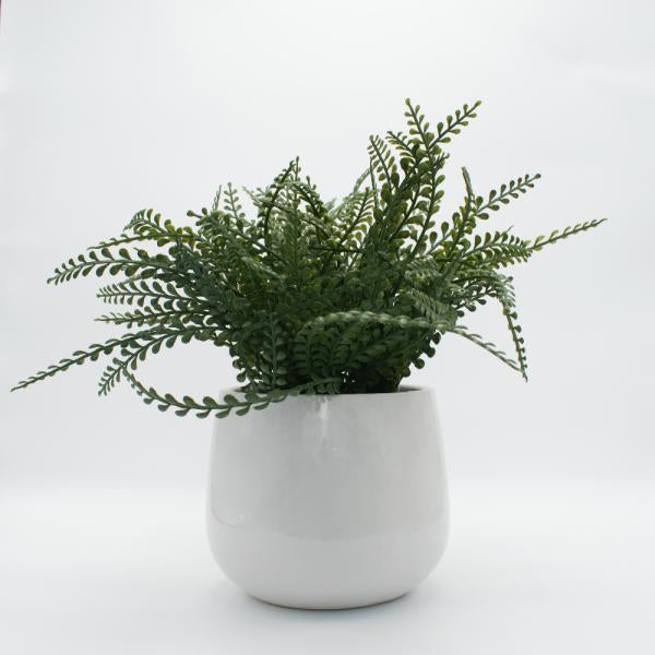 HELECHO 30 CM DE ALTO X 15 CM DE ANCHO . FLORERO CERAMICO