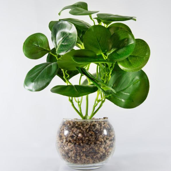 FLORERO VIDRIO CON PLANTA