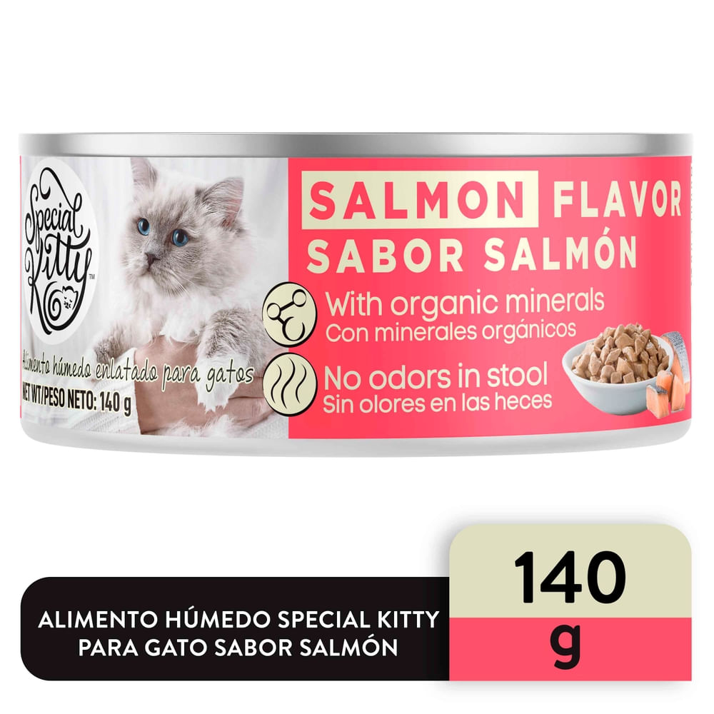 Alimento Special Kitty Gato Sabor Salmon -140 G