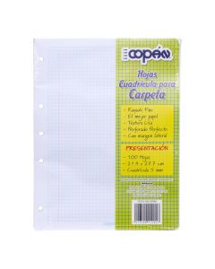 Hoja Papel Cuadriculada 5mm