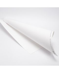 Cartulina Satinada Jjsm Pliego Blanca