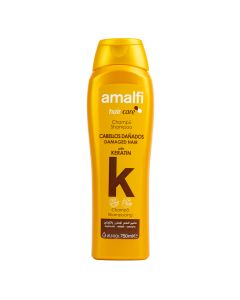 Shampoo Keratina Argán Para Cabello Dañado 750ml