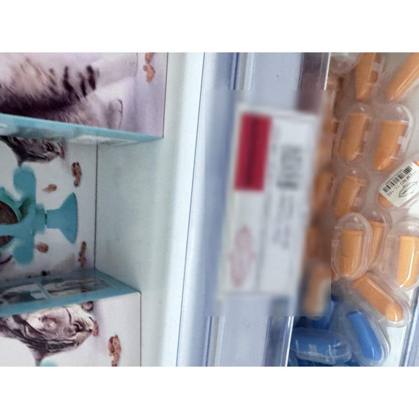 Dispensador de Comida Interactivo para Perros y Gatos