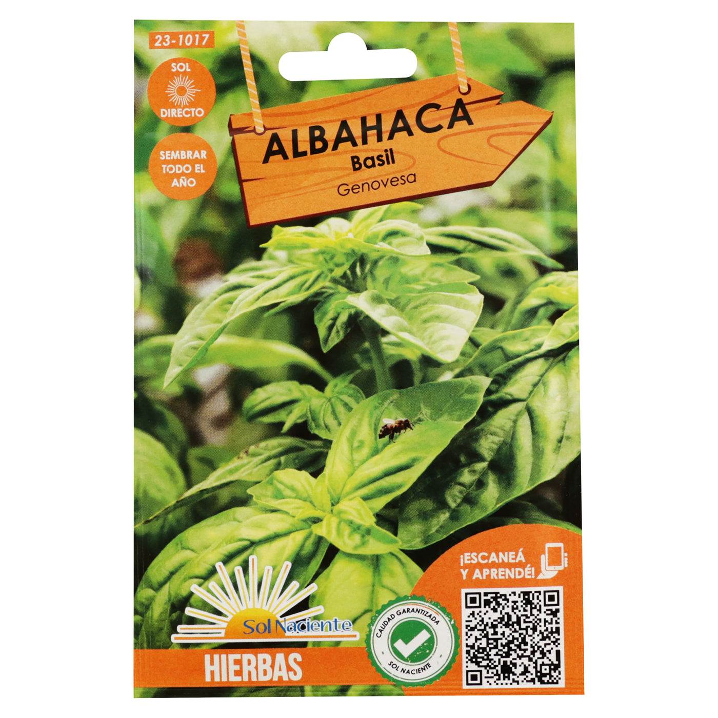 Semillas Albahaca Sol Naciente