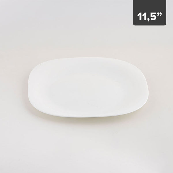 Plato Grande Ovalado Temperado 11.5in