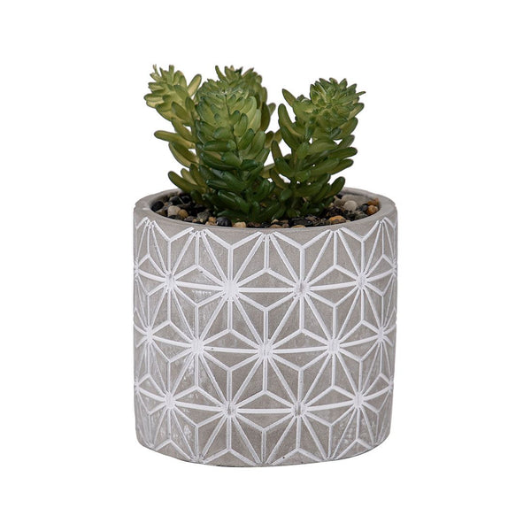 Suculenta Maceta Estrellas Plástico Y Cemento 12x11.7x18.3cm