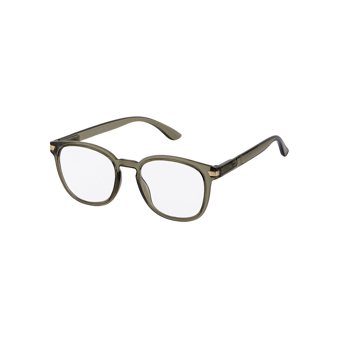 Lentes Lectura Plástico
