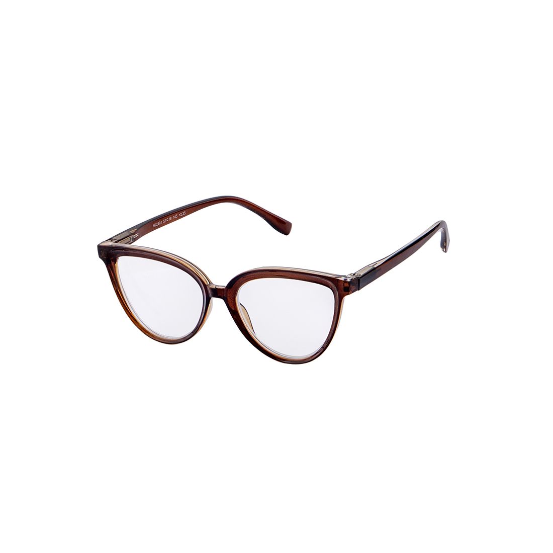 Lentes Lectura Plástico