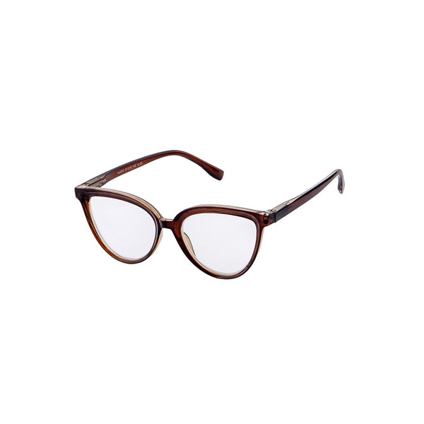Lentes Lectura Plástico