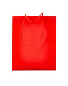 Bolsa Plástica Lisa 22x18x7.5cm Roja