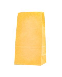 Bolsa Papel Kraft Lisa 24x13x8cm 12und
