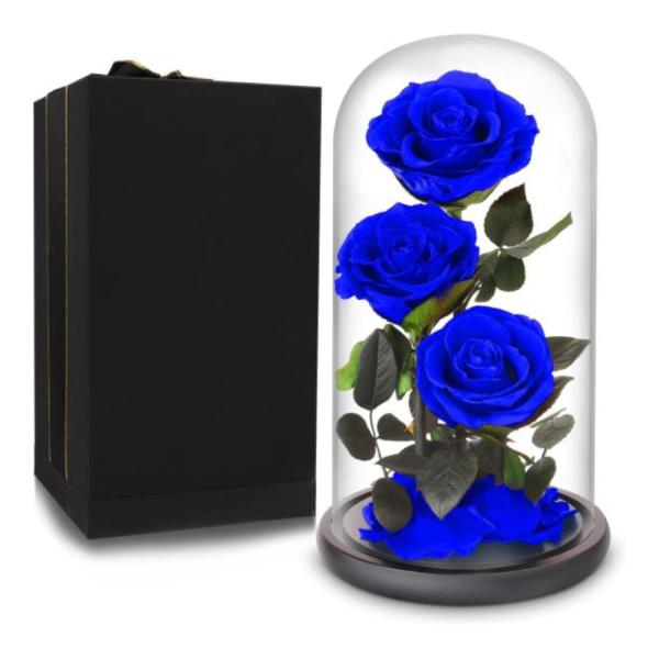 3 Rosas Reales Preservada En Domo M Azul