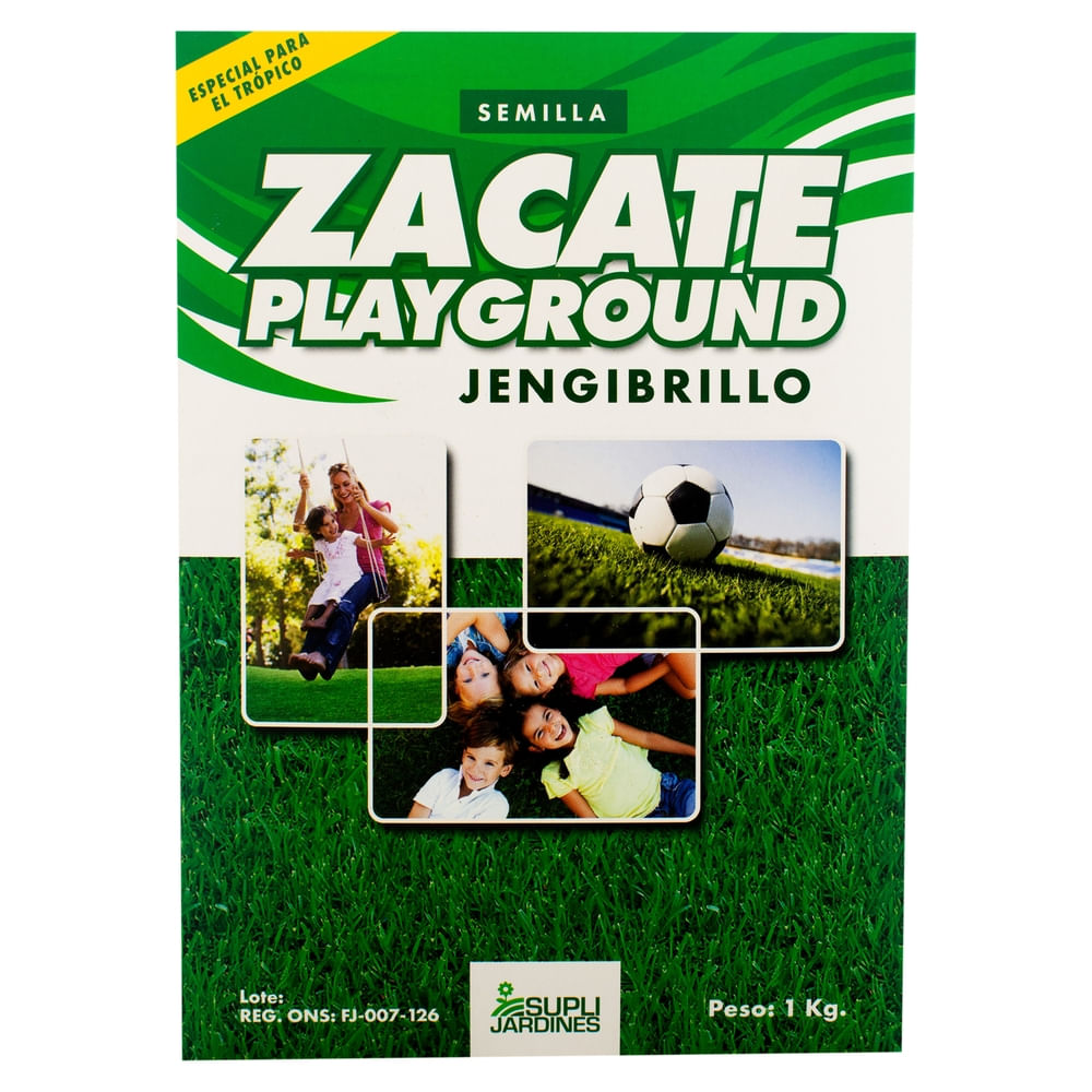 Semillas De Zacate Playground Supli Jardines Jegibrillo Especiales Para El Trópico - 1 Kg