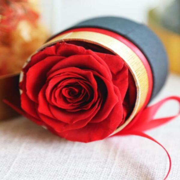 Rosa Preservada En Caja Redonda Xs
