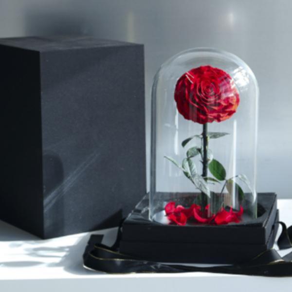 Rosa Real Preservada En Domo S Rojo