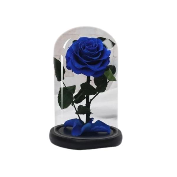 Rosa Real  Preservada  En Domo S Azul