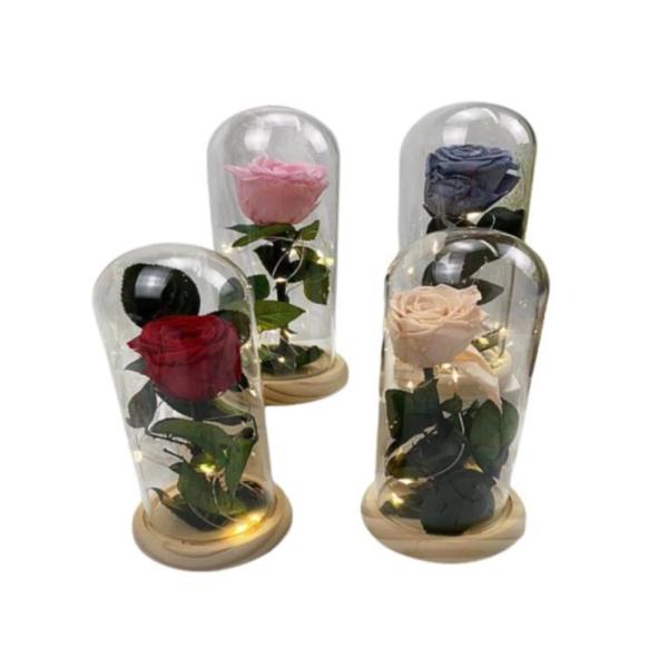 Rosa Real Preservada En Domo Modelo 1192-2 Rojo