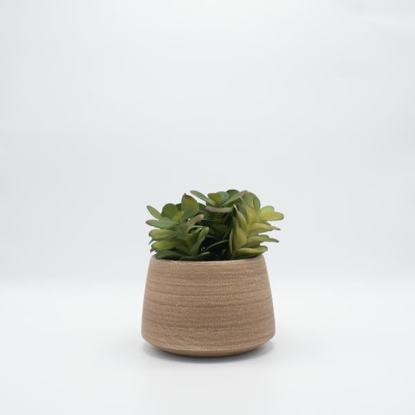 FLORERO DE CERAMICA CAFE CON SUCULENTA