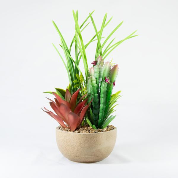 MACETA CON 5 SUCULENTAS 25CM CON FLOR