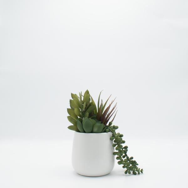 TERRARIO SUCULENTA. FLORERO CERAMICA