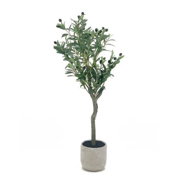 ARBOL DE OLIVO. MACETA CONCRETO 93CM