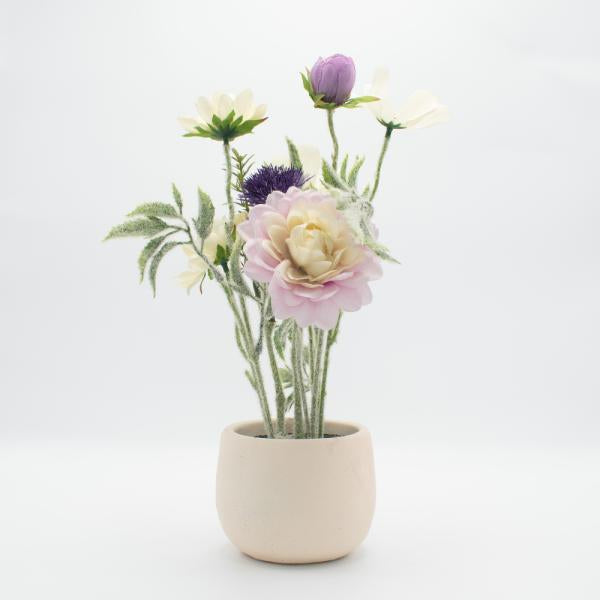PAEONIACEAEA CON FLORERO ESFERICO