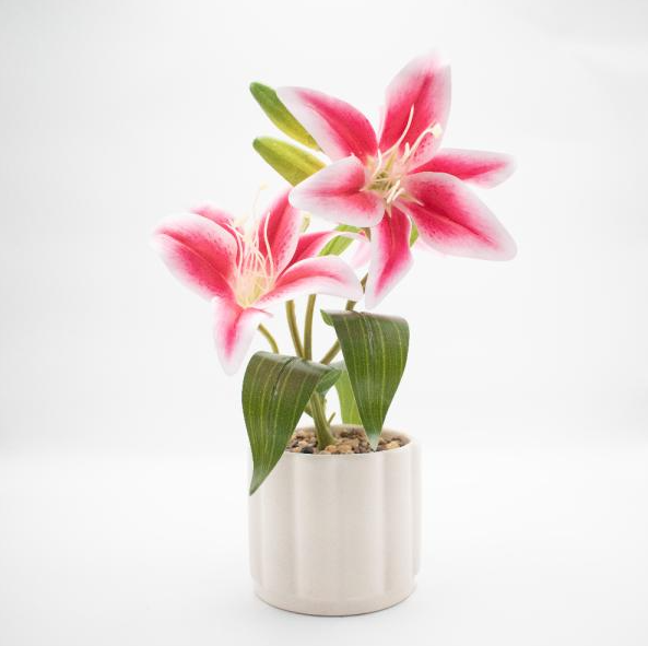 LIRIOS ROSA FLORERO BLANCO