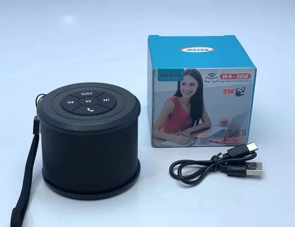 Bocinas Parlante Bluetooth Ws-308 Negro