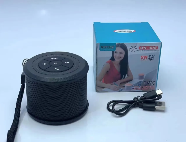 Bocinas Parlante Bluetooth  Ws-308 Negro
