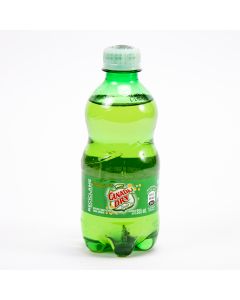 Refresco Gaseoso Canada Dry Ginger Ale 355ml