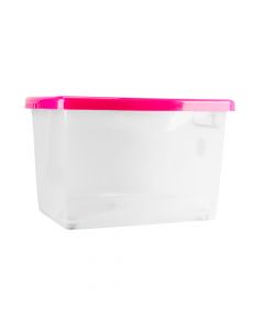 Caja Multiuso Con Tapa Surtido