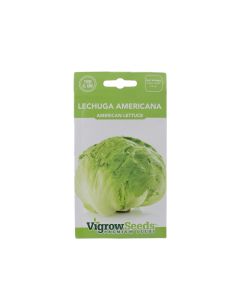 Semilla Hortaliza Lechuga Americana