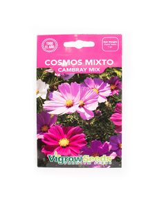Semilla Flor Cambray