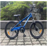 Bicicleta  20 Pulg Azul